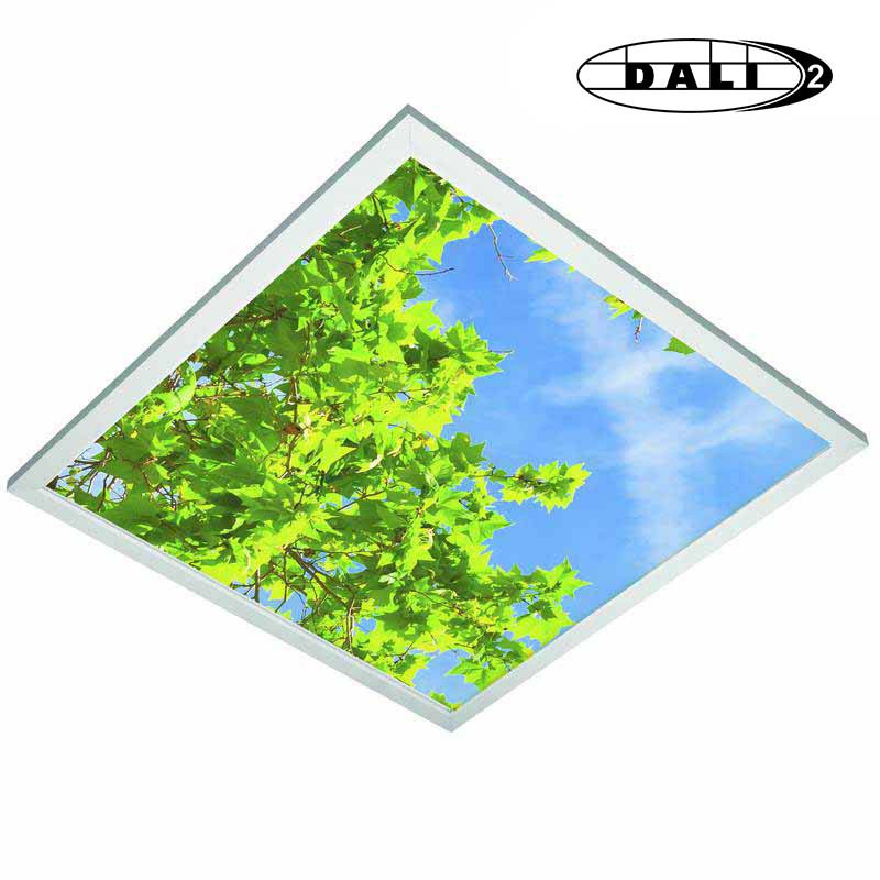 DECOSKY 60x60 36W 4000K-IRC80 2000lm DALI