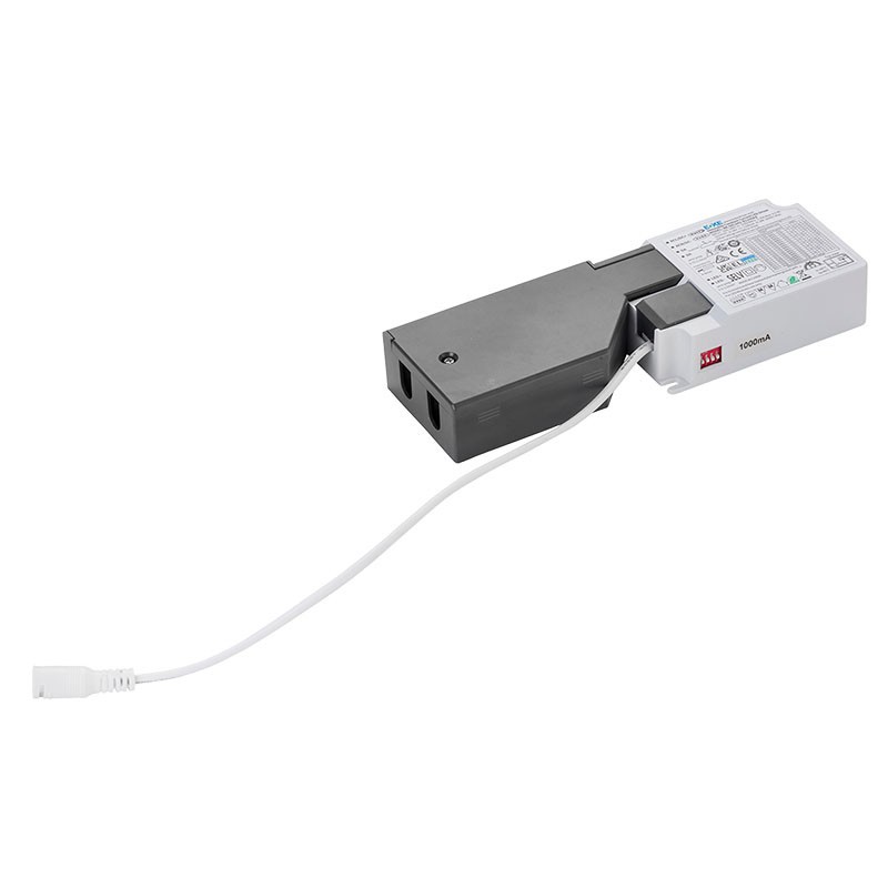 DRIVER DALI 2 PUSH 30W 6-42VDC 250-800MA REPIQUABLE JACK 30CM