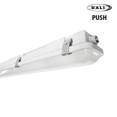 Luminaire étanche LED, HOLLYWOOD II XL 1200mm 50W 8000lm 4000K-IP66-IK10 DALI 2 PUSH vue connecteur